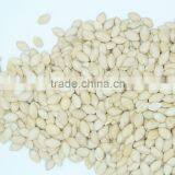 2015 New Products Shine Skin Pumpkin Seeds thumbnail-3