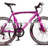 New Arrival High Quality Portable Aluminum Folding Road Bike thumbnail-4