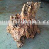 Sandalwood Roots thumbnail-1