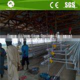 Agriculture Chicken Cage With Manure Removal Machines
