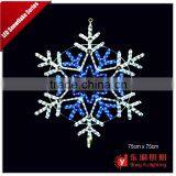 110V 60*60CM Outdoor Lighted Beautiful Led Christmas Snowflake Rope Light