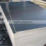 Linyi MR Glue Shuttering Plywood & Film Faced Plywood for Construction thumbnail-5