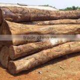 Merbau Wood thumbnail-1