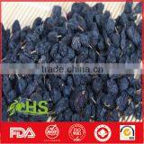 Green Red Black and Golden Raisin for Wholesale thumbnail-3