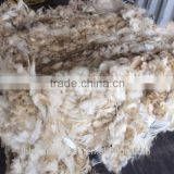 100% greasy Russian sheep wool, 28-38mic, 80-95mm, natural white color