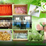 Fresh Vegetable( Carrot ,giner,onion,potato,garlic,taro thumbnail-6