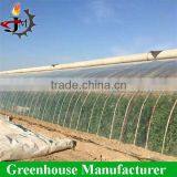Strong Structure Galvanized Polytunnel Greenhouse thumbnail-4