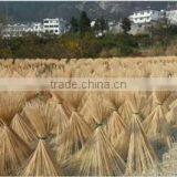 Bamboo Yantai Co., Ltd. Jinjiang company overview - view 3 thumbnail