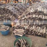 White Charcoal thumbnail-3