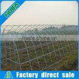Rodent Proof Low Cost Commercial Plastic Greenhouse for Tomato thumbnail-3