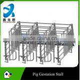 Galvanized pig farming equipment --- Gestation stall for pig