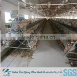 High Quality Lowest Price Chicken Wire Mesh / Bird Cage Wire Mesh thumbnail-1