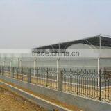 Temper Glass Greenhouse thumbnail-1