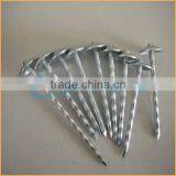 Top Quality Lead Roofing Nails Trusted Chuanghe Suppliers From Com thumbnail-5