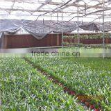 Fully Automated Light Deprivation Greenhouse thumbnail-3