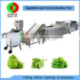 Very popular air bubble ozone fruit and vegetable cutting washing drying production line, full automatic machine