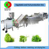 Very Popular Air Bubble Ozone Fruit and Vegetable Cutting Washing Drying Production Line, Full Automatic Machine thumbnail-1