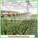 Polycarbonate Board Aluminium Garden Greenhouses From Factory Supplier thumbnail-5