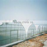 Artificial Intelligence Plastic Greenhouse thumbnail-1