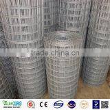 Galvanized Welded Wire Mesh / Welded Wire Mesh Fence / Bird Cage Welded Wire Mesh Roll thumbnail-5
