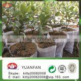 Agriculture Industrial Use and Polypropylene Material Fabric Road Construction Geotextile Fabric thumbnail-3