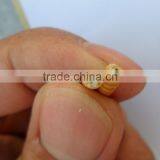 Golden Yellow Stocked Mealworm, Wholesale Wild Bird Food Mealworm thumbnail-5