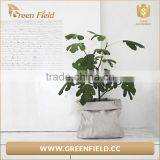 Flower Grow Pots Garden Bag Planter Indoor Kraft Paper Grow Bags thumbnail-3