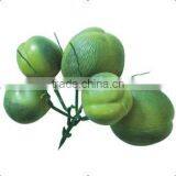 SJ200930 Artificial Fake Plastic Cocount Fruit Sale thumbnail-2