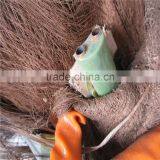 Plastic Artificial King Coconut Tree Green Large Coconut Tree thumbnail-3