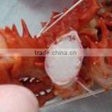 Frozen Cooked King Crab thumbnail-4