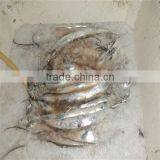Fine Quality and All Kinds of Frozen Seafood Fillet Fish thumbnail-1