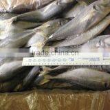 2016 High Quality Frozen Horse Mackerel thumbnail-2