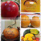 Food and Beverage Service Equipment Laser Marking Machine for South Africa thumbnail-2