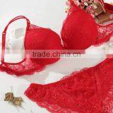 Top Quality Sexy Ladies Lace Bra and Panty New Design thumbnail-4