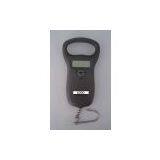 Hong Kong Digital Fish Scale thumbnail-1