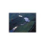 Indonesia Coal thumbnail-1