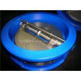 Dual Plate Wafer Check Valve