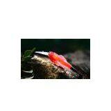 Seasky Lure NYW-8067 thumbnail-1