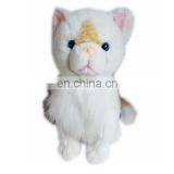 Simulation of the Persian cat plush toy