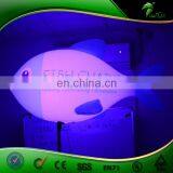 Fish Model Balloon Inflatable Fish Light , Advertising Inflatable LED Fish thumbnail-4