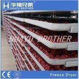 FD-35R350kgs Industrial Freeze Drying Equipment Freeze Dryer Price thumbnail-4