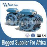 CAG HGIE2 Cast Iron Frame Three Phase Electric AC Induction Motor thumbnail-2