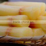 Best Fresh Sweet Sugar Cane From Vietnam