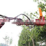 2015 The New Design of Garden Trimmer/grass Cutter Machinery/Tree Pruning Machine thumbnail-5