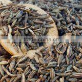 Cumin Seeds thumbnail-3