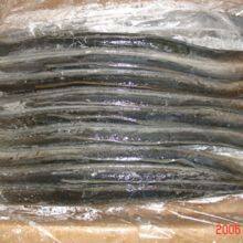 Frozen Gutted Eel (Anguilla Rostrata/Japonica)- Fresh Water River Eel thumbnail-3