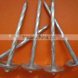 Umbrella Head Roofing Nail With Twisted Shank