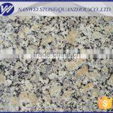 New Style Gansu Granite of Autumn Gold Yellow Bee Stone on Sale