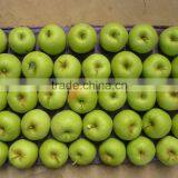 2015 China Green Apple Gala thumbnail-1