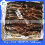 Fishing Frozen Squid